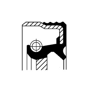 Akselitiiviste, ruiskutuspumppu, FIAT,RENAULT, 40003630, 40003640, 40100080, 40100320, 40100323, 5001000816, 7301262