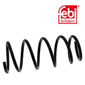 Jousi (auton jousitus), Etuakseli, RENAULT KANGOO Express, 77 00 311 494, 77003-11494, 82 00 666 436, 8465299
