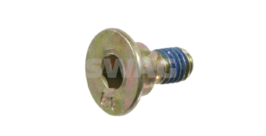 Bolt, brake disc SWAG 10 90 5560