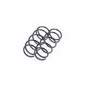 Madallussarja, Etuakseli, RENAULT CLIO II, THALIA I, 77 00 417 229, 7700432197, 8455271