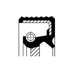 Akselitiiviste, kampiakseli, Edessä, Etupää, Imu, AUDI,BMW,FORD,LADA,OPEL,PEUGEOT,RENAULT,SEAT,SKODA,VW, 0039403920, 021030060A, 0210300