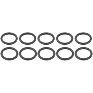 Tiivisterengas, ruiskutusventtiili, BMW,NISSAN, 16618-2W200, 17111711987